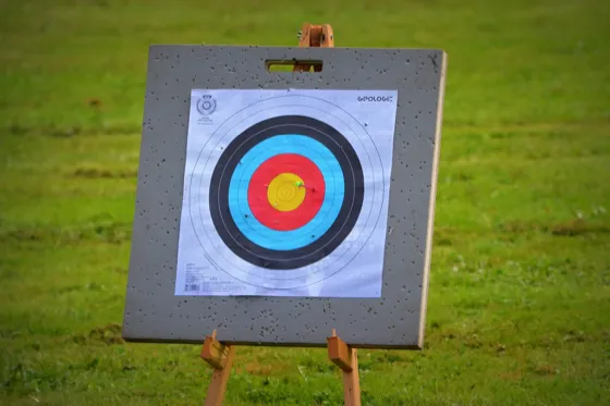 10 Best Animal Archery Targets & Their Reviews For 2026