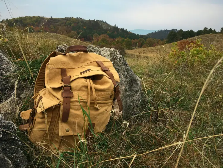 10 Best Bow Hunting Packs & Their Reviews For 2026