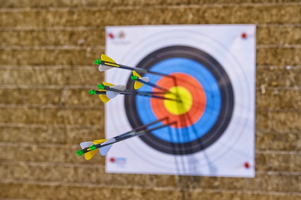 10 Best Archery Target Pins & Their Reviews [Updated 2021]