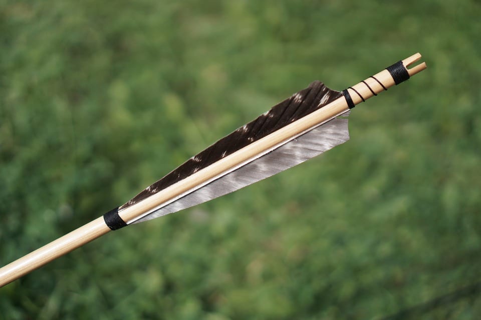 10 Best Arrow Vanes & Their Reviews [Updated 2021]